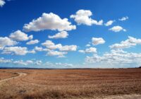 brown field and blue sky