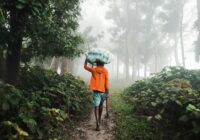 a man walking down a path in the fog with an umbrella